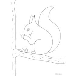 Disegno da colorare: Scoiattolo (Animali) #6211 - Pagine da Colorare Stampabili Gratuite