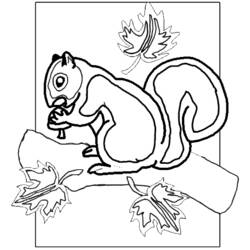 Disegno da colorare: Scoiattolo (Animali) #6278 - Pagine da Colorare Stampabili Gratuite