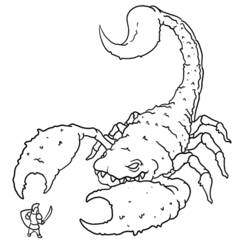 Disegno da colorare: Scorpione (Animali) #14537 - Pagine da Colorare Stampabili Gratuite