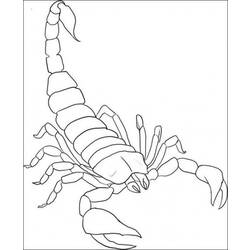 Disegno da colorare: Scorpione (Animali) #14539 - Pagine da Colorare Stampabili Gratuite