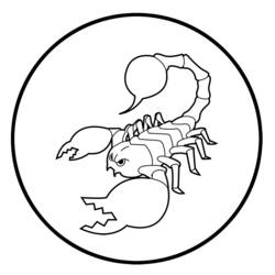Disegno da colorare: Scorpione (Animali) #14542 - Pagine da Colorare Stampabili Gratuite