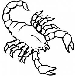 Disegno da colorare: Scorpione (Animali) #14549 - Pagine da Colorare Stampabili Gratuite
