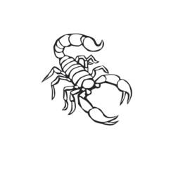 Disegno da colorare: Scorpione (Animali) #14552 - Pagine da Colorare Stampabili Gratuite