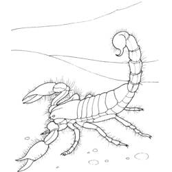 Disegno da colorare: Scorpione (Animali) #14553 - Pagine da Colorare Stampabili Gratuite