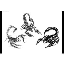 Disegno da colorare: Scorpione (Animali) #14572 - Pagine da Colorare Stampabili Gratuite