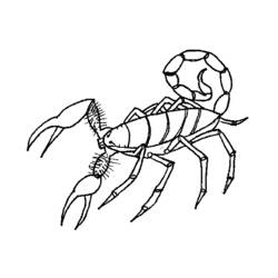 Disegno da colorare: Scorpione (Animali) #14574 - Pagine da Colorare Stampabili Gratuite