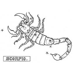 Disegno da colorare: Scorpione (Animali) #14596 - Pagine da Colorare Stampabili Gratuite