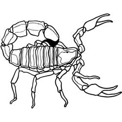 Disegno da colorare: Scorpione (Animali) #14601 - Pagine da Colorare Stampabili Gratuite