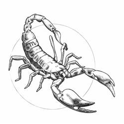 Disegno da colorare: Scorpione (Animali) #14633 - Pagine da Colorare Stampabili Gratuite