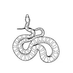 Disegno da colorare: Serpente (Animali) #14337 - Pagine da Colorare Stampabili Gratuite