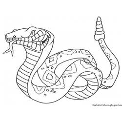 Disegno da colorare: Serpente (Animali) #14342 - Pagine da Colorare Stampabili Gratuite
