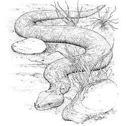 Disegno da colorare: Serpente (Animali) #14355 - Pagine da Colorare Stampabili Gratuite