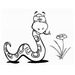 Disegno da colorare: Serpente (Animali) #14356 - Pagine da Colorare Stampabili Gratuite