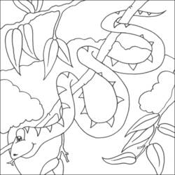 Disegno da colorare: Serpente (Animali) #14405 - Pagine da Colorare Stampabili Gratuite
