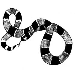 Disegno da colorare: Serpente (Animali) #14426 - Pagine da Colorare Stampabili Gratuite