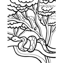 Disegno da colorare: Serpente (Animali) #14453 - Pagine da Colorare Stampabili Gratuite