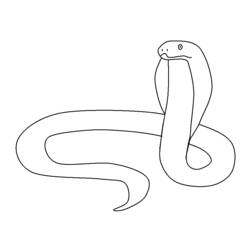 Disegno da colorare: Serpente (Animali) #14475 - Pagine da Colorare Stampabili Gratuite