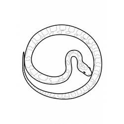 Disegno da colorare: Serpente (Animali) #14482 - Pagine da Colorare Stampabili Gratuite