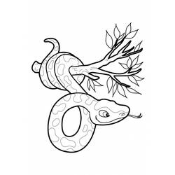 Disegno da colorare: Serpente (Animali) #14486 - Pagine da Colorare Stampabili Gratuite