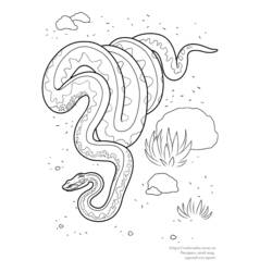 Disegno da colorare: Serpente (Animali) #14529 - Pagine da Colorare Stampabili Gratuite