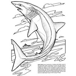Disegno da colorare: Squalo (Animali) #14839 - Pagine da Colorare Stampabili Gratuite