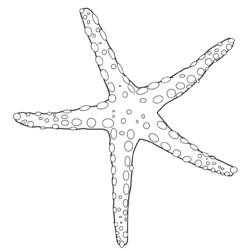 Disegno da colorare: Stella marina (Animali) #6703 - Pagine da Colorare Stampabili Gratuite