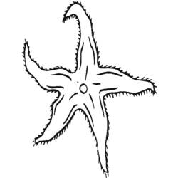 Disegno da colorare: Stella marina (Animali) #6716 - Pagine da Colorare Stampabili Gratuite