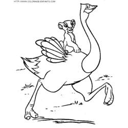 Disegno da colorare: Struzzo (Animali) #737 - Pagine da Colorare Stampabili Gratuite