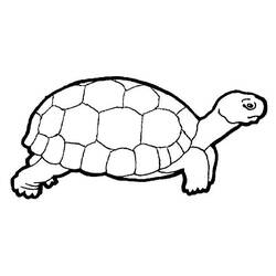 Disegno da colorare: Tartaruga (Animali) #13394 - Pagine da Colorare Stampabili Gratuite