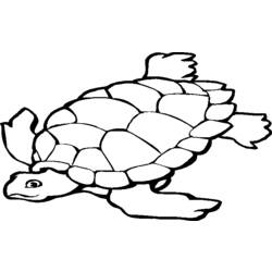 Disegno da colorare: Tartaruga (Animali) #13396 - Pagine da Colorare Stampabili Gratuite