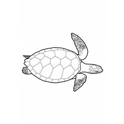 Disegno da colorare: Tartaruga (Animali) #13421 - Pagine da Colorare Stampabili Gratuite