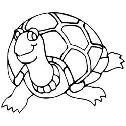 Disegno da colorare: Tartaruga (Animali) #13423 - Pagine da Colorare Stampabili Gratuite