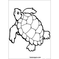 Disegno da colorare: Tartaruga (Animali) #13429 - Pagine da Colorare Stampabili Gratuite