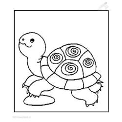 Disegno da colorare: Tartaruga (Animali) #13432 - Pagine da Colorare Stampabili Gratuite