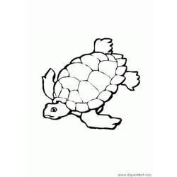 Disegno da colorare: Tartaruga (Animali) #13433 - Pagine da Colorare Stampabili Gratuite