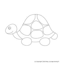 Disegno da colorare: Tartaruga (Animali) #13437 - Pagine da Colorare Stampabili Gratuite