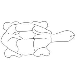 Disegno da colorare: Tartaruga (Animali) #13480 - Pagine da Colorare Stampabili Gratuite