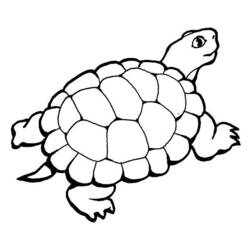 Disegno da colorare: Tartaruga (Animali) #13514 - Pagine da Colorare Stampabili Gratuite
