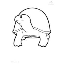 Disegno da colorare: Tartaruga (Animali) #13526 - Pagine da Colorare Stampabili Gratuite