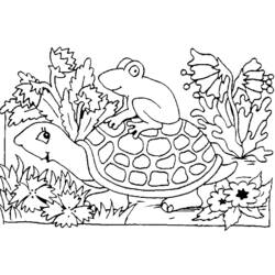 Disegno da colorare: Tartaruga (Animali) #13557 - Pagine da Colorare Stampabili Gratuite