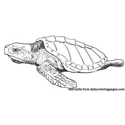 Disegno da colorare: Tartaruga (Animali) #13583 - Pagine da Colorare Stampabili Gratuite