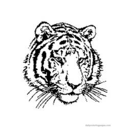 Disegno da colorare: Tigre (Animali) #13592 - Pagine da Colorare Stampabili Gratuite