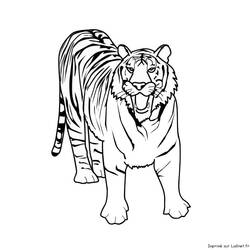 Disegno da colorare: Tigre (Animali) #13595 - Pagine da Colorare Stampabili Gratuite