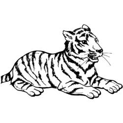 Disegno da colorare: Tigre (Animali) #13597 - Pagine da Colorare Stampabili Gratuite