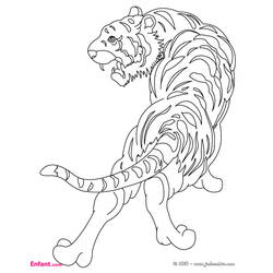 Disegno da colorare: Tigre (Animali) #13600 - Pagine da Colorare Stampabili Gratuite