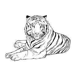 Disegno da colorare: Tigre (Animali) #13601 - Pagine da Colorare Stampabili Gratuite