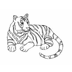Disegne da colorare: Tigre - Pagine da Colorare Stampabili Gratuite