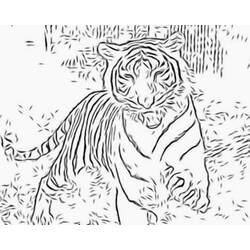 Disegno da colorare: Tigre (Animali) #13606 - Pagine da Colorare Stampabili Gratuite