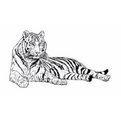 Disegno da colorare: Tigre (Animali) #13607 - Pagine da Colorare Stampabili Gratuite