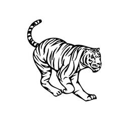 Disegno da colorare: Tigre (Animali) #13611 - Pagine da Colorare Stampabili Gratuite